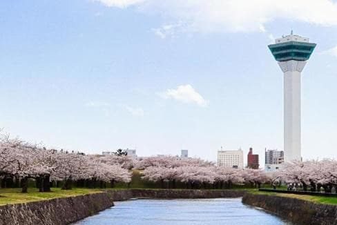 五稜郭公園 五稜郭塔裁