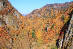 豐平峽紅葉