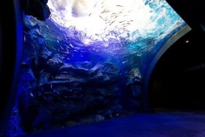 北之大地水族館