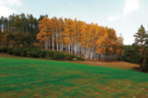 富田農場1