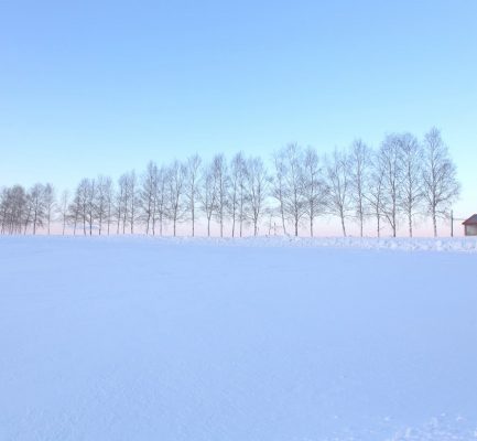 2023年White Love 雪戀｜愛上北海道五日