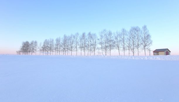 2023年White Love 雪戀｜愛上北海道五日