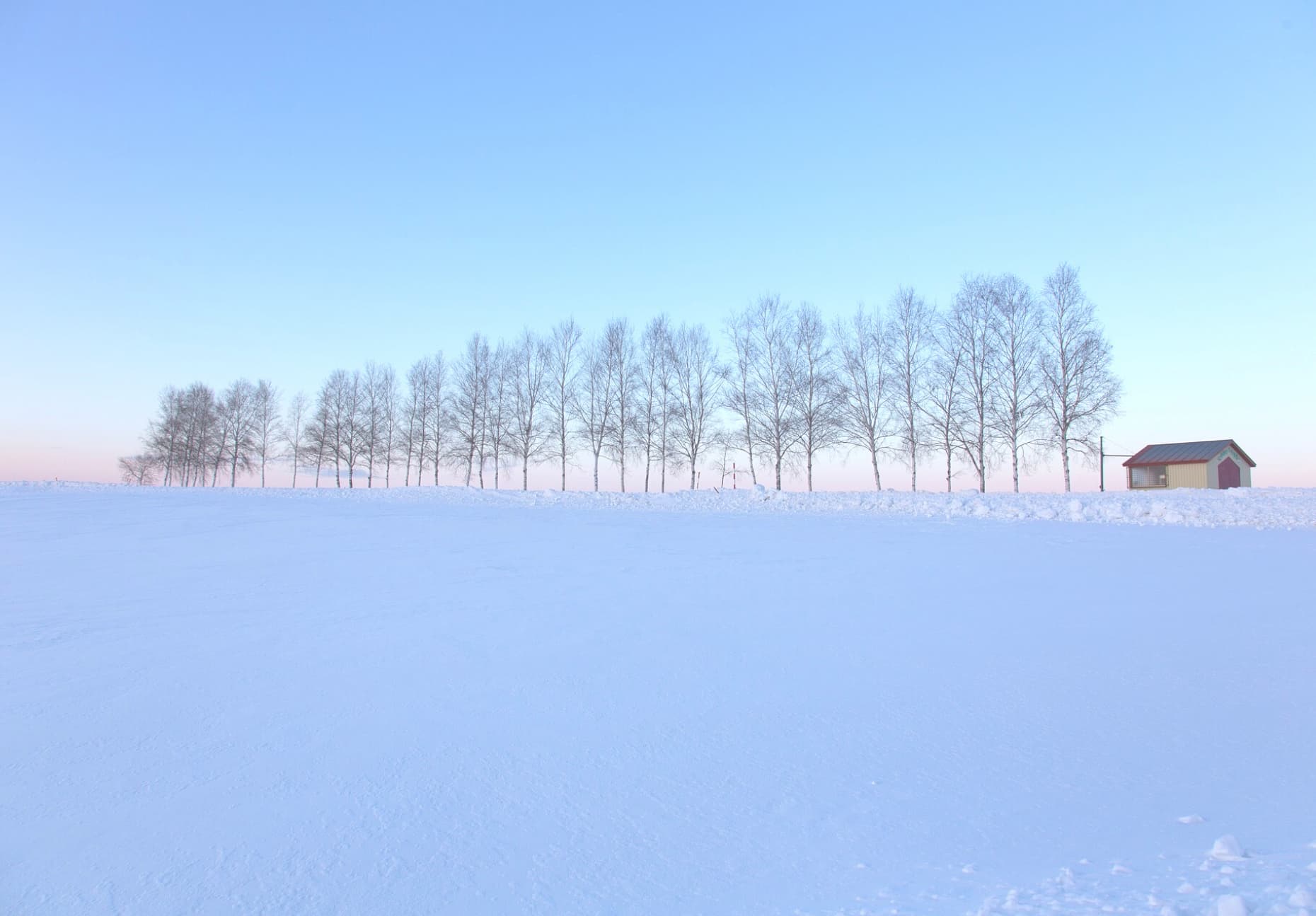 2023年White Love 雪戀｜愛上北海道五日