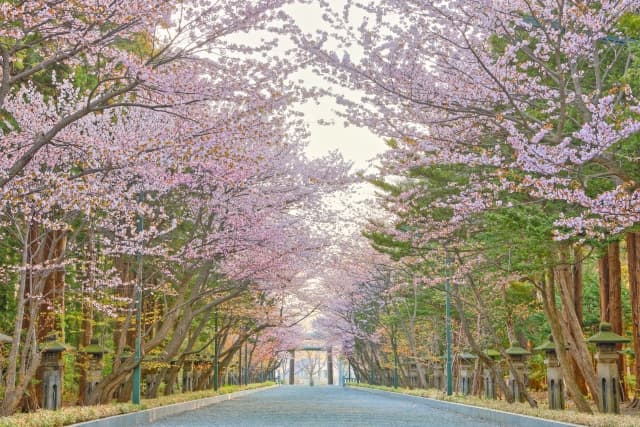 円山公園