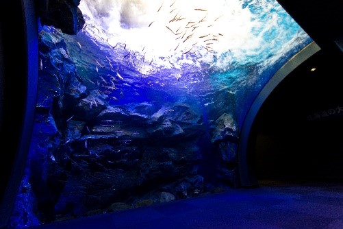 北之大地水族館(有料地¥00)
