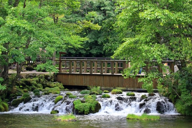 羊蹄山湧水公園