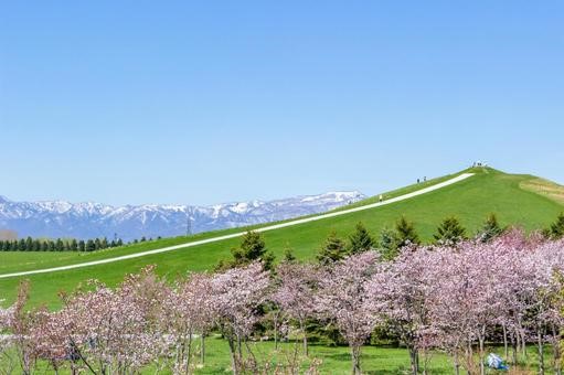 莫埃來沼公園