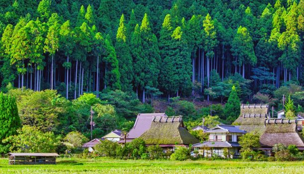 奧京都山陰山陽 贅沢特典六日