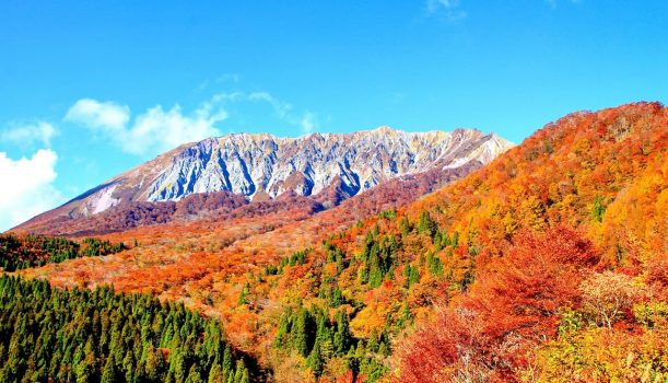 紅葉美最時 山陰山陽六日紀行