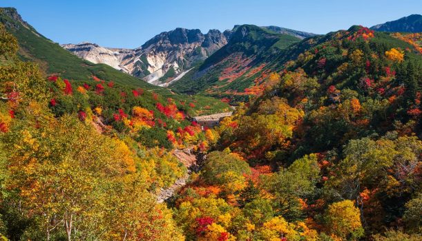 愛上北海道｜Maple Love 秋戀溫泉5日