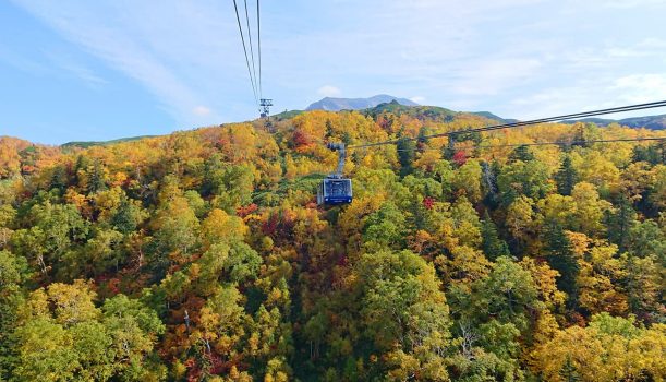 與日本最早的紅葉相約 大雪山旭岳2日遊