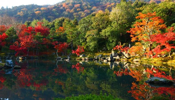 日本秋日 京都紅葉大賞2日遊