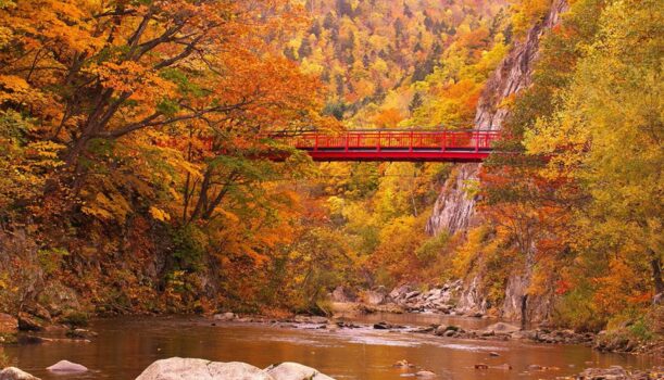 北海道秋季｜Maple Love 紅葉旅行11日    