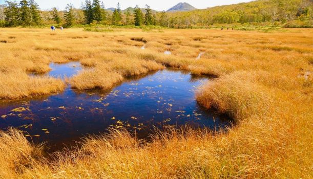 日本美好旅遊 北海道期間限定 一期一會的北海道紅葉17個旅遊清單 收藏版